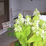 Spiretas 펜션 Naxos City